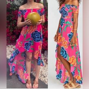 Show Me Your Mumu Willa Maxi Dress Floratopia Size Medium